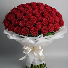 Букет 101 Красная роза Блэк Мэджик в Щельпино