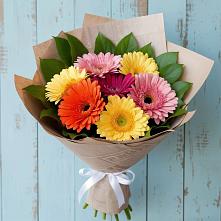 Букет цветов из:  Герберы #REPLACE_PRED# Щельпино