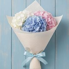 Букет цветов из:  Гортензия в Щельпино