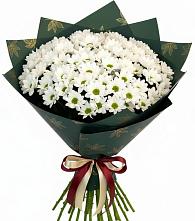 Букет цветов из:  Хризантемы в Щельпино