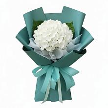 Букет цветов из:  Гортензия в Щельпино